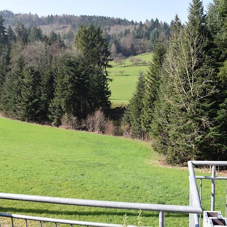 Ferienwohnung Im Dettenbachtal Валдкирх Екстериор снимка