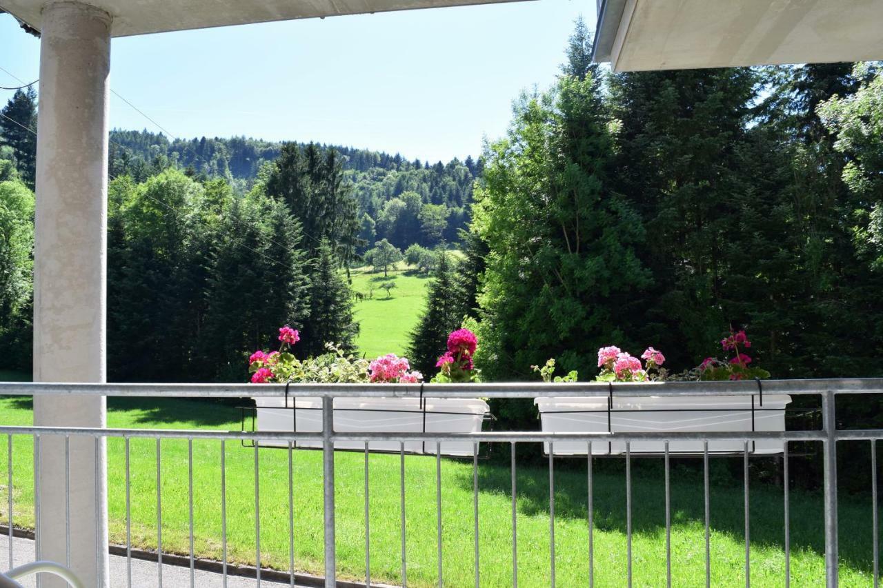 Ferienwohnung Im Dettenbachtal Валдкирх Екстериор снимка