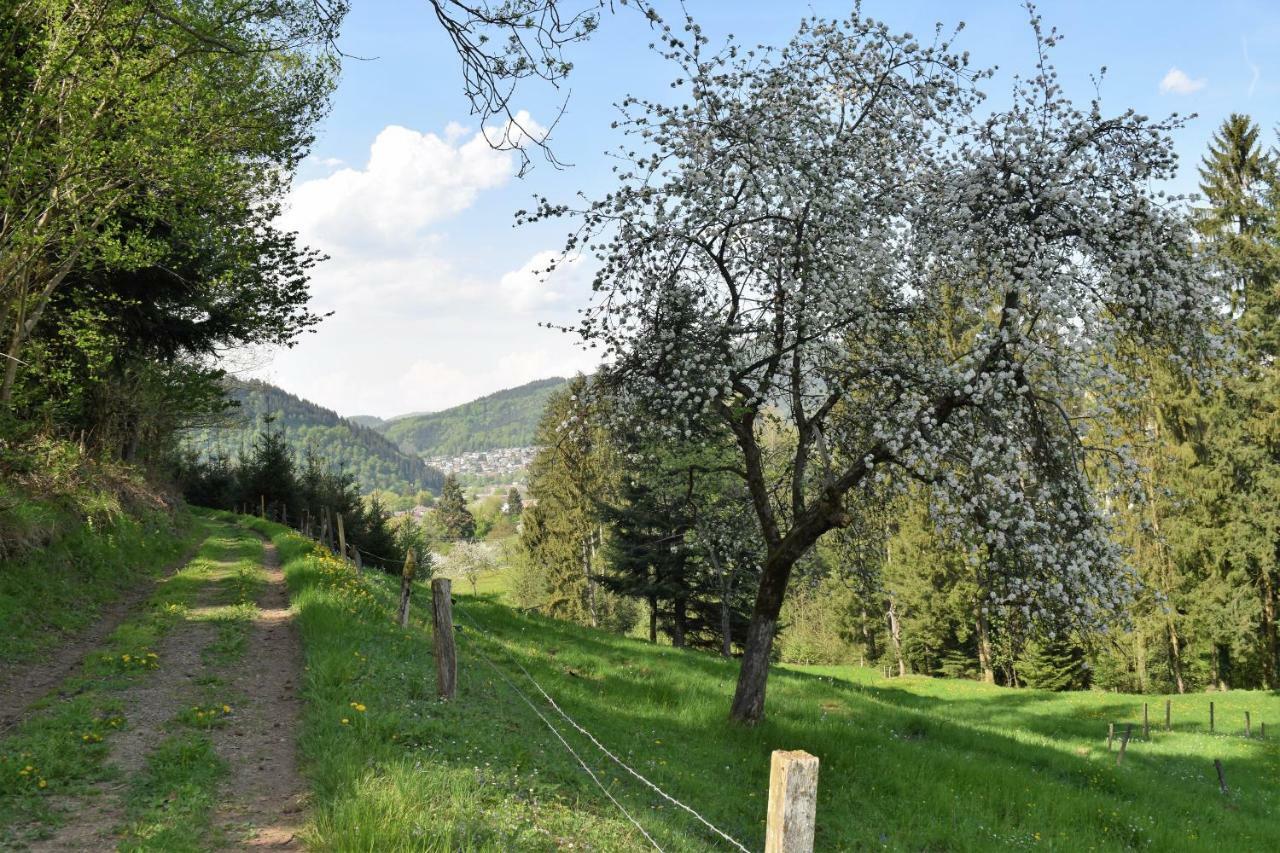 Ferienwohnung Im Dettenbachtal Валдкирх Екстериор снимка