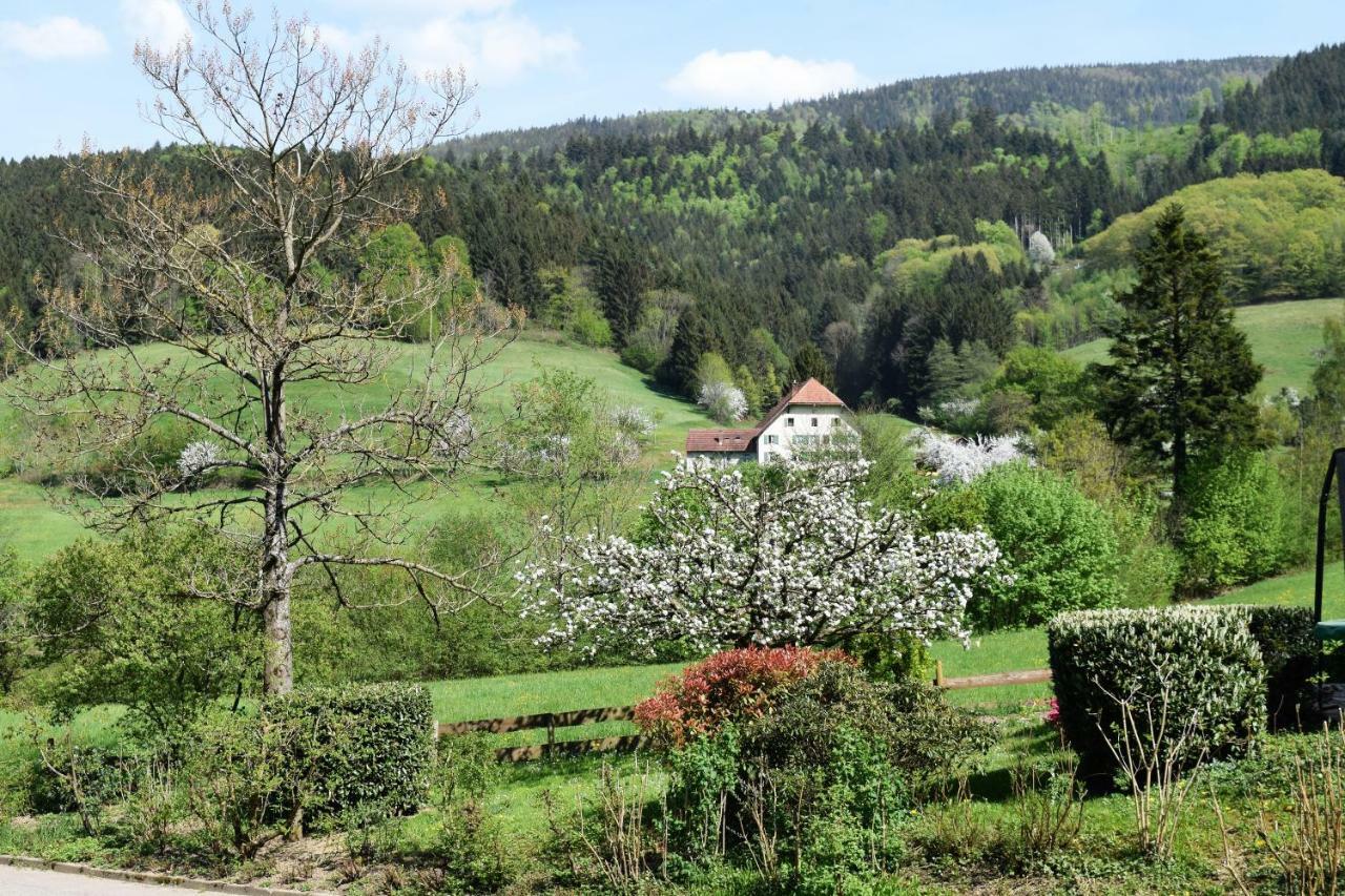 Ferienwohnung Im Dettenbachtal Валдкирх Екстериор снимка